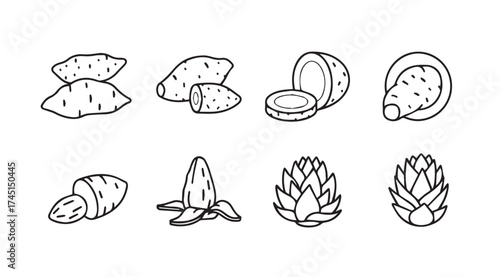 Collection of hand-drawn root vegetables and tropical fruits sketch elements for design vector