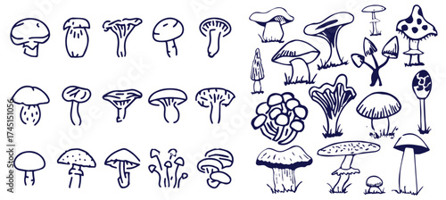 Outline mushrooms doodle big set. Fungi hand drawn sketch of various shapes and sizes isolated on white background