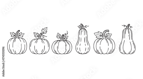 Line art drawing of six pumpkins and gourds in a row hand drawn style vector