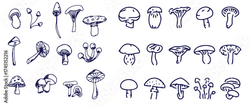 Outline mushrooms doodle big set. Fungi hand drawn sketch of various shapes and sizes isolated on white background