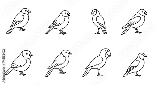 Set of bird line drawings in minimalist style