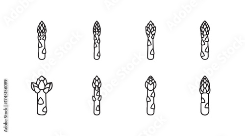 Hand drawn asparagus spears collection fresh green vegetable food ingredient line art vector