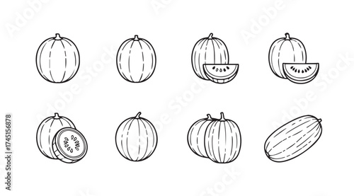 Hand drawn collection of whimsical melons and gourds sketchy line art style vector