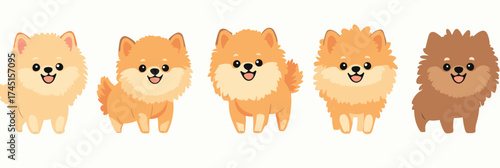 Set of cute smiling Pomeranian dogs in flat minimalist vector style with various fur colors and fluffy coats, playful cartoon dog stickers collection