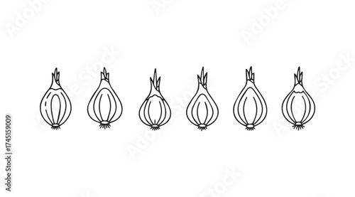 Fresh organic onions hand drawn sketch set food ingredient natural produce healthy cooking ingredient vector