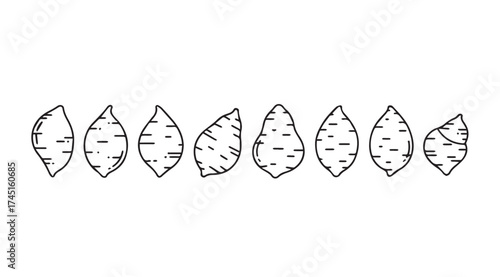Hand drawn sweet potatoes row isolated natural organic root vegetables sketch style art vector