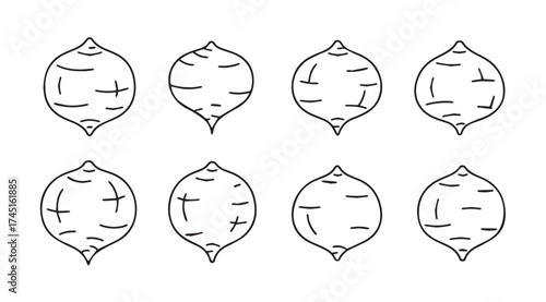 Set of hand-drawn turnips or root vegetables showing texture and shape variations vector