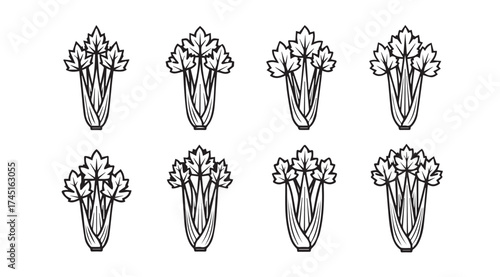 Collection of hand-drawn celery stalks in a stylized botanical sketch for healthy food and cooking vector