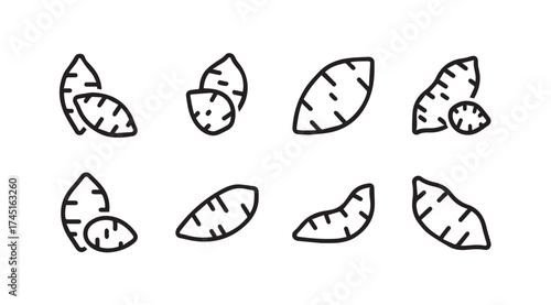 Sweet potato icons simple outline drawings set food ingredient healthy organic root vegetable farm produce vector