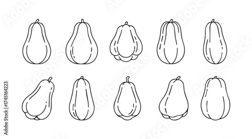 Artistic hand drawn outline sketch collection of various gourds and squash varieties vector