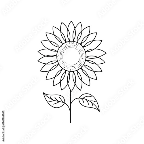 Sunflower vector illustration in black outline, large simple flower with central disk and leaves on white