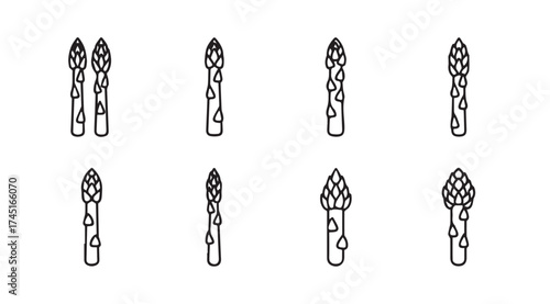Fresh asparagus spears hand drawn sketch organic vegetable collection healthy food ingredient line art vector