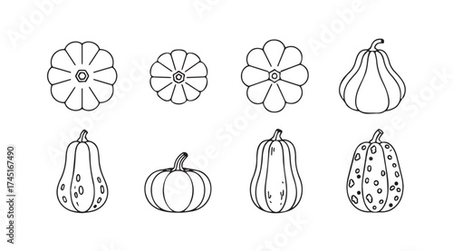 Set of hand drawn autumnal gourds and pumpkins decorative outline art vector