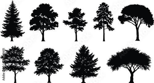 Black silhouette collection of different tree types vector illustration, natural forest elements, eco design, botanical nature art, landscape decoration graphic