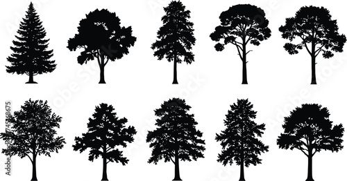 Black silhouette collection of different tree types vector illustration, natural forest elements, eco design, environmental conservation, landscape decoration graphic