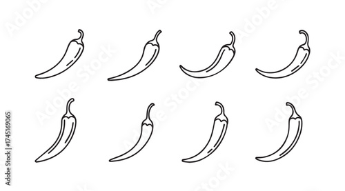 Hand drawn chili peppers variety of shapes and angles isolated on white vector