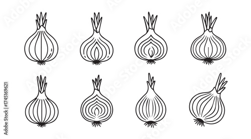 Set of eight hand-drawn onion halves and whole onions botanical sketch style vector