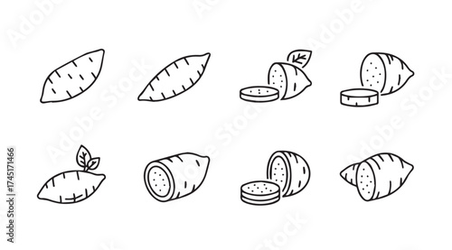 Hand drawn sweet potatoes various stages of preparation isolated on white surface vector