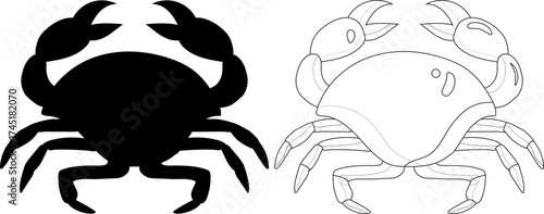 scorpion isolated on white background