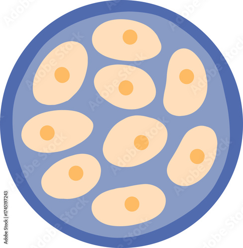 Human cells multiplying under microscope inside petri dish