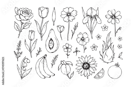 Hand drawn sketch of various flowers and botanical elements in black and white