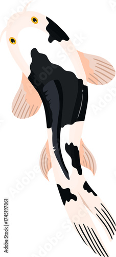 Koi fish swimming illustration with black spots