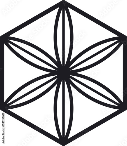 Seed of Life sacred geometry symbol on white background