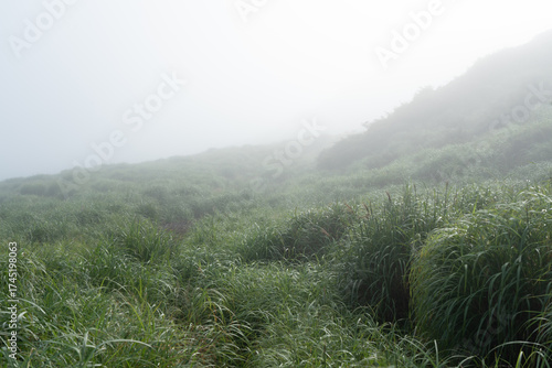 Fotografie 霧に包まれる朝の草千里ヶ浜