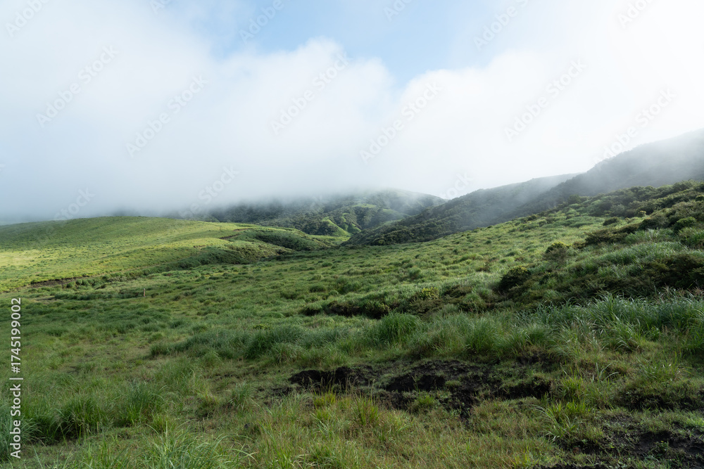 Fototapeta premium 霧がかった朝の草千里の丘