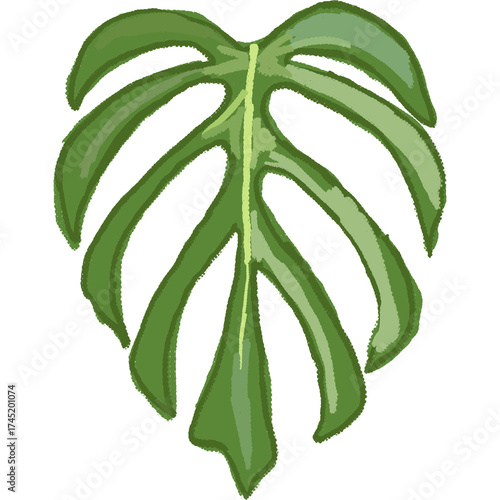Hand drawing leaf plant illustrations unique 