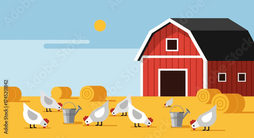 Chickens eating in a farm field near a red barn on a sunny day.