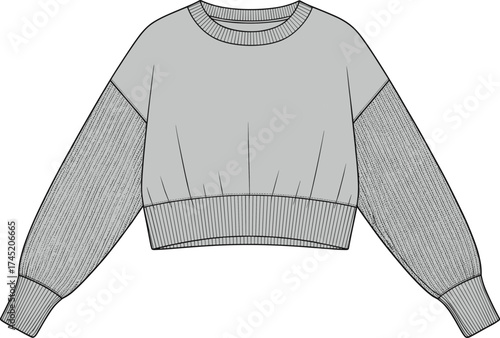 Cropped sweatshirt illustration, round neckline and ribbed cuffs, textured sleeve design, fitted waistband, fashion garment vector, technical sketch template