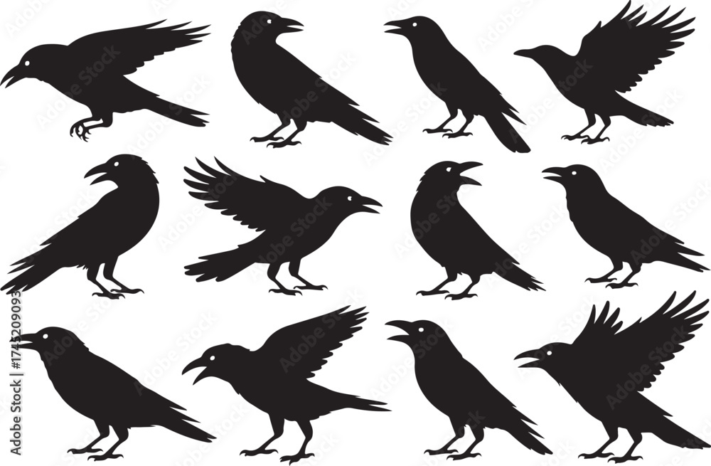 Obraz premium Collection of black silhouette crows and ravens in various poses against white background