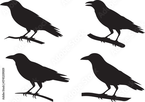 Four distinct black silhouette raven birds perched on branches against a white background