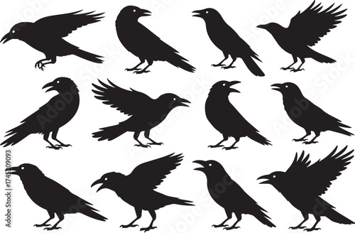 Collection of black silhouette crows and ravens in various poses against white background