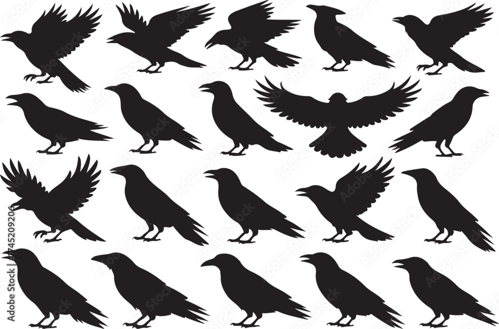 Obraz premium Collection of black bird silhouettes in various poses and flight actions