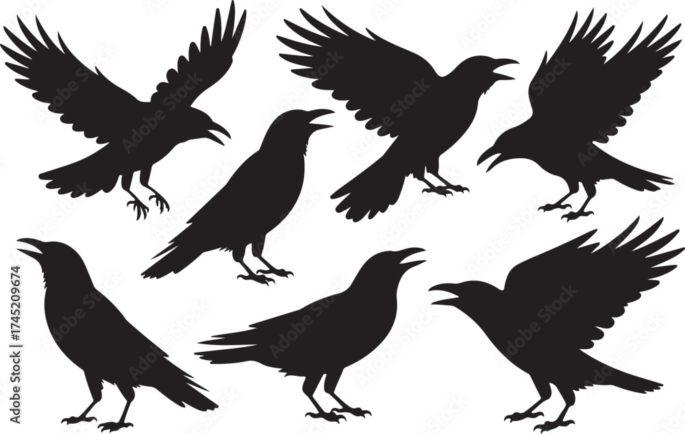 Obraz premium Collection of black silhouette flying and perching crows or ravens isolated on white
