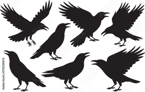 Collection of black silhouette flying and perching crows or ravens isolated on white