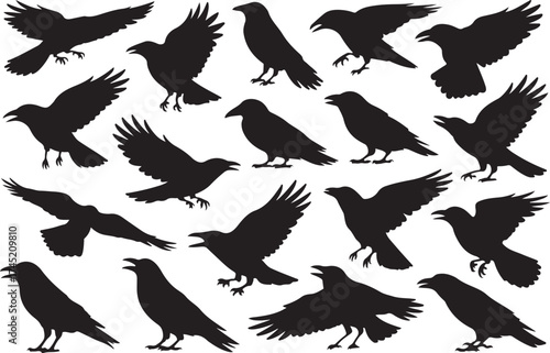 Collection of silhouetted crows in various poses against a white background
