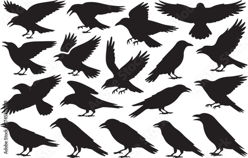 Collection of black silhouettes of crows and ravens in various poses and flight