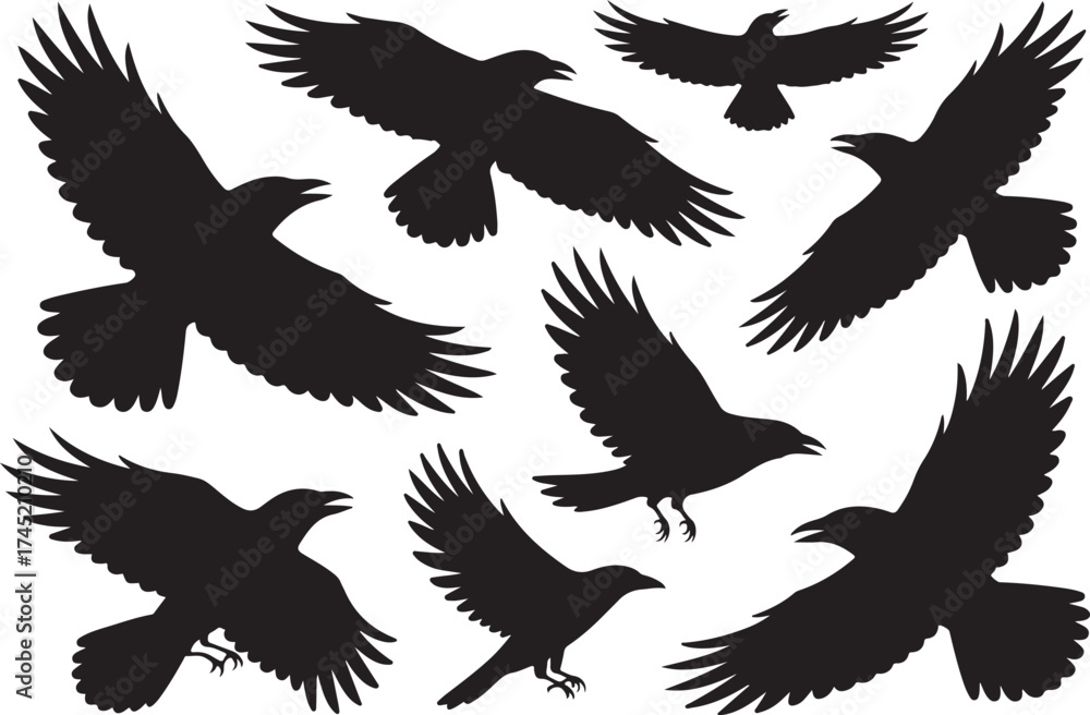 Obraz premium Collection of black crow silhouettes in flight against a white background