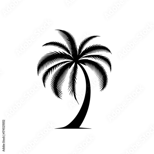 Exotic Tropical Palm Tree Vector Illustration