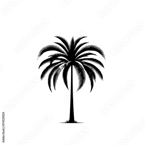 Exotic Beach Palm Tree Vector Illustration