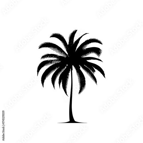 Tropical Sunset Palm Tree Vector Illustration