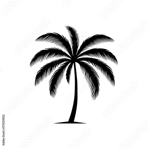 Green Tropical Palm Tree Vector Illustration