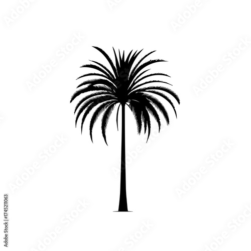 Tropical Paradise Palm Tree Vector Art