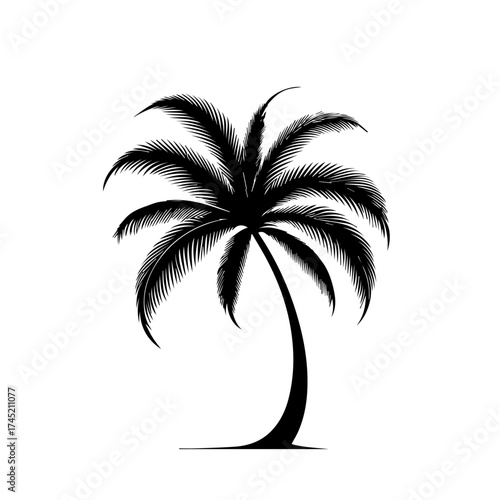 Exotic Tropical Palm Tree Vector Artwork