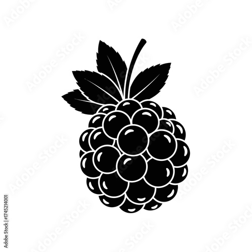 Black raspberry fruit illustration with leaves, a delicious berry.