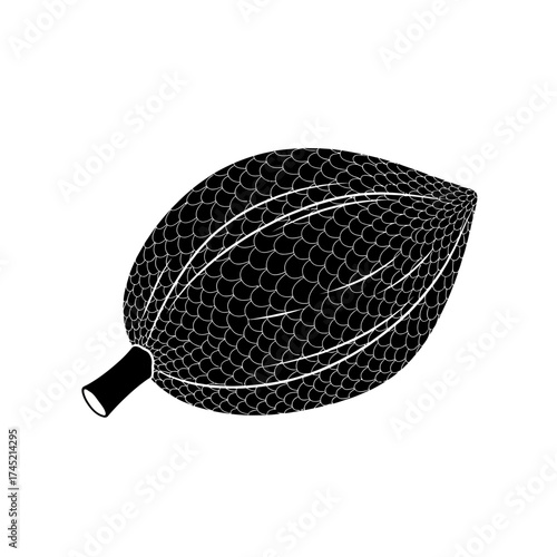 Stylized Leaf Illustration with Intricate Scale Pattern and Veins.