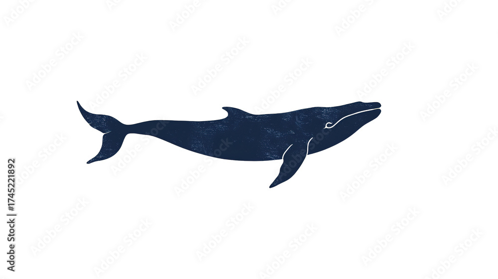 Obraz premium transparent background whale
